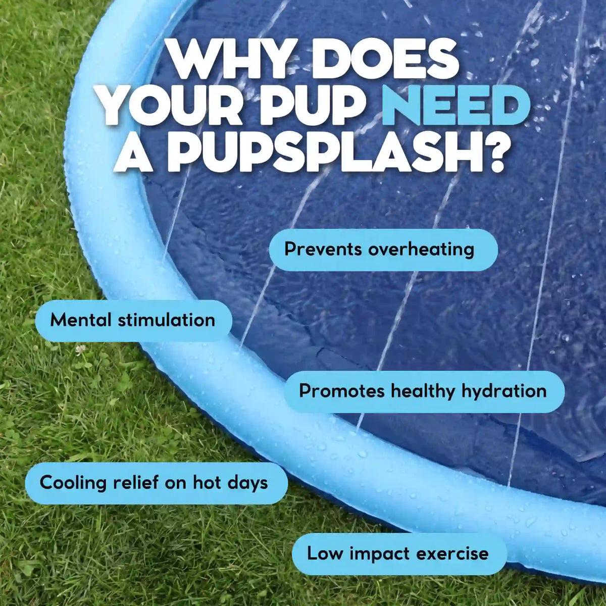 PupSplash™ Claw-Proof Splash Pad