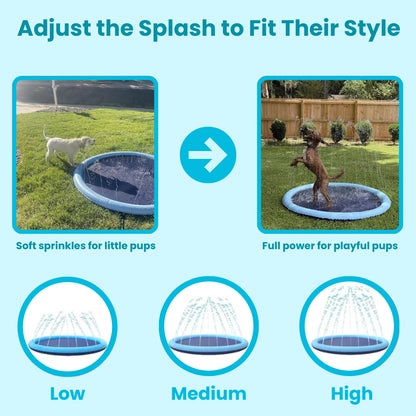 Dog Splash Pad