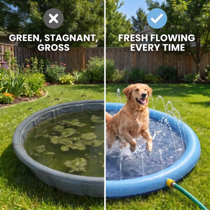PupSplash™ Claw-Proof Splash Pad