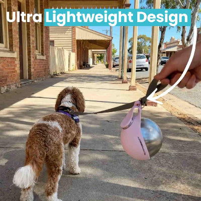 Foldable 2 in 1 Dog Water Bottle