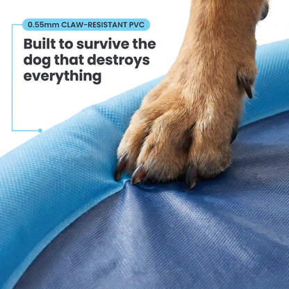 PupSplash™ Claw-Proof Splash Pad