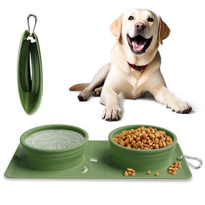 Collapsible Portable 2-in-1 Pet Bowl