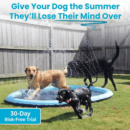 Dog Splash Pad