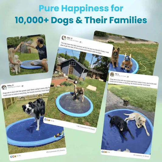 PupSplash™ Claw-Proof Sprinkler Pad