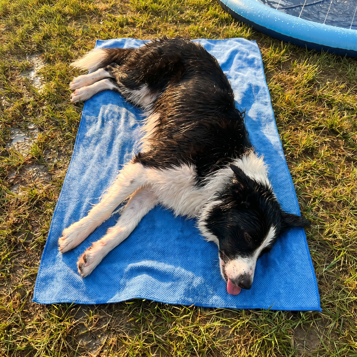 PupDry™ Microfiber Dog Towel