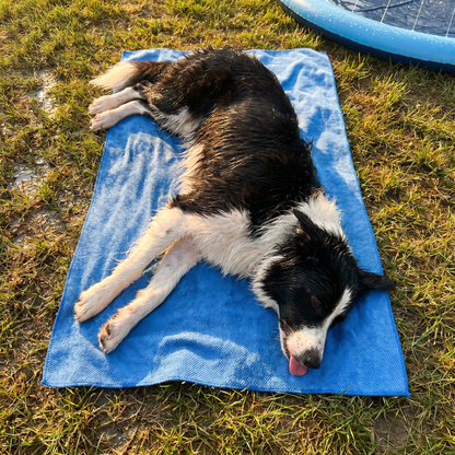 PupDry™ Microfiber Dog Towel