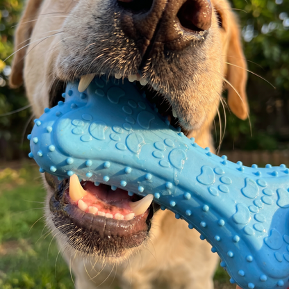 PupChew™ Dental Bone
