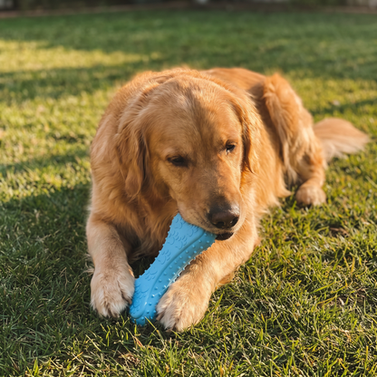 PupChew™ Dental Bone