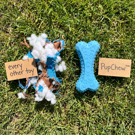 PupChew™ Dental Bone