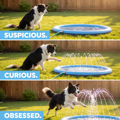 PupSplash™ Claw-Proof Splash Pad