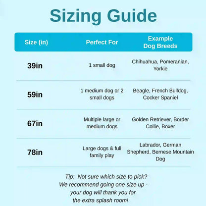 Dog Splash Pad