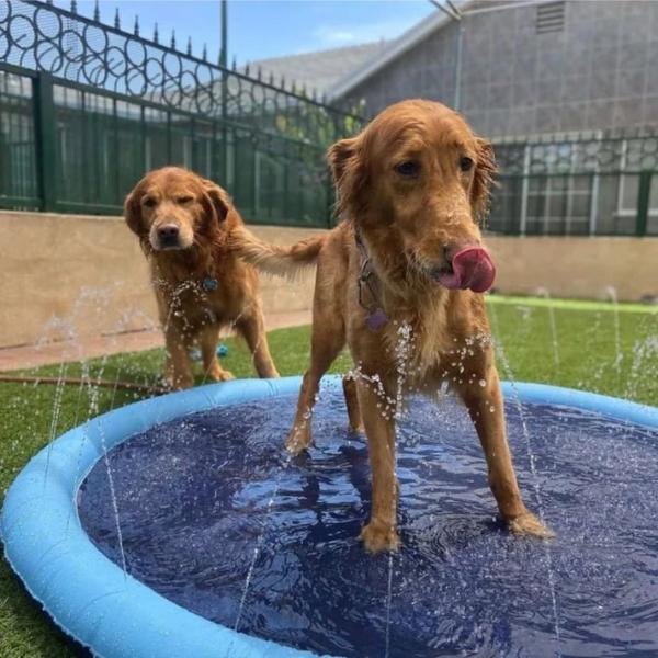 PetPerfect™ Dog Sprinkler Pad
