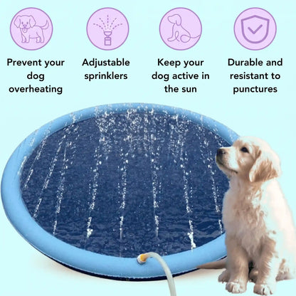 Dog Splash Pad