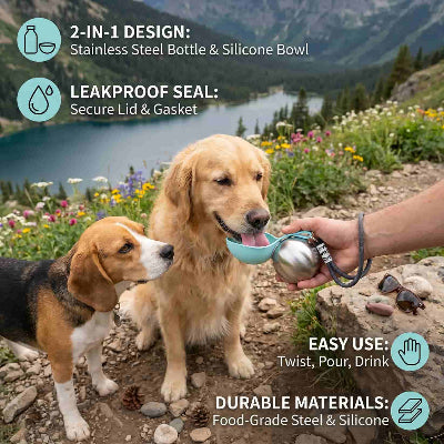 Foldable 2 in 1 Dog Water Bottle